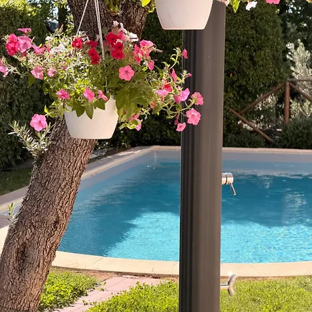 Ristorante Il Terziere 3* 트레비