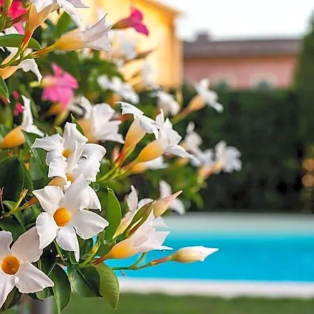 Ristorante Il Terziere Hotel 3*
