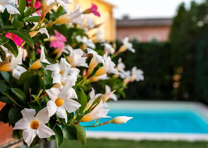 Hotel Ristorante Il Terziere Trevi